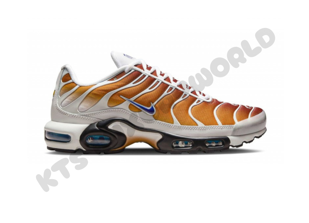 Nike air Max plus Down chutney