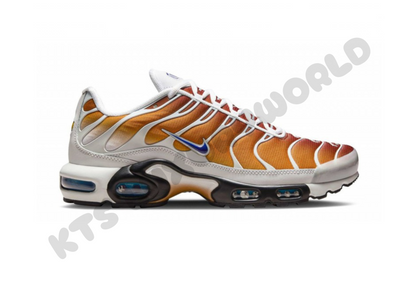 Nike air Max plus Down chutney