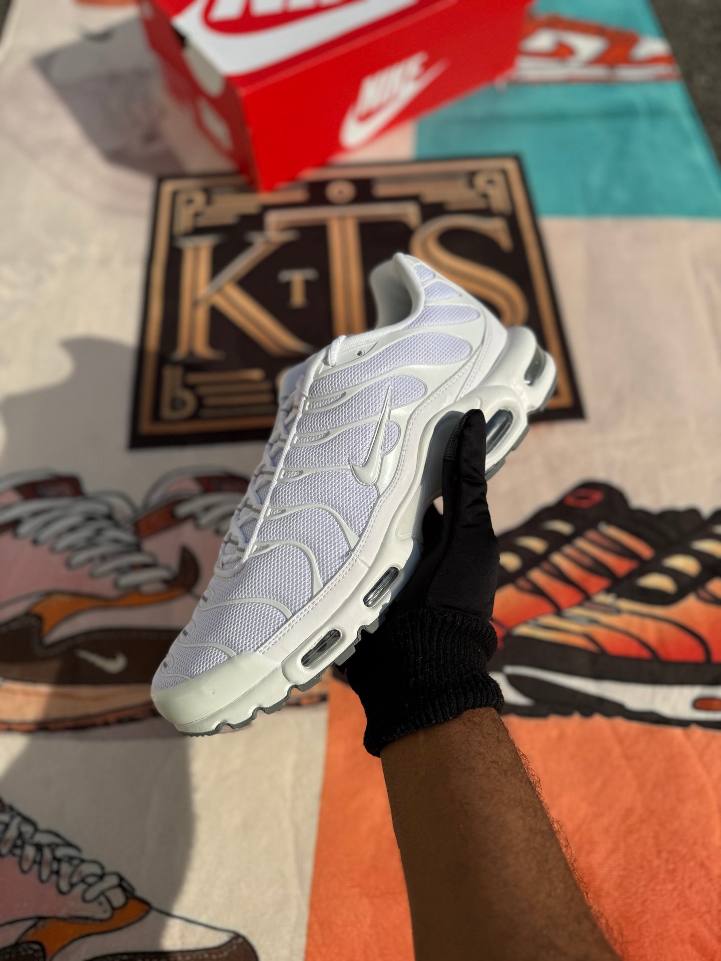 Nike Air Max Plus White -