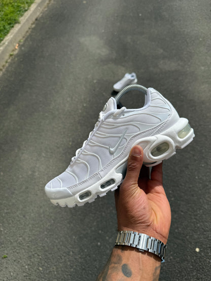 Nike air Max plus