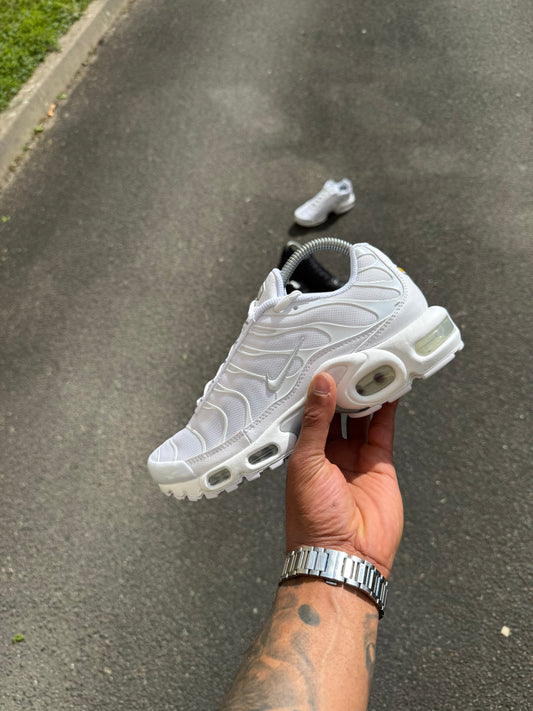 Nike air Max plus