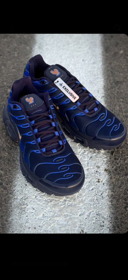 Nike Air Max Plus France  Football Federation
