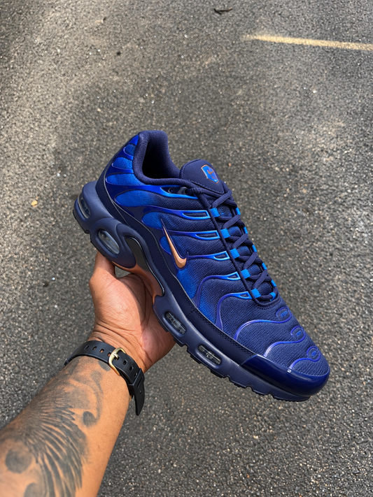 Nike Air Max Plus France  Football Federation