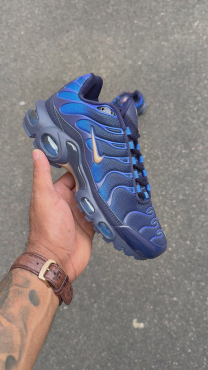 Nike Air Max Plus France  Football Federation